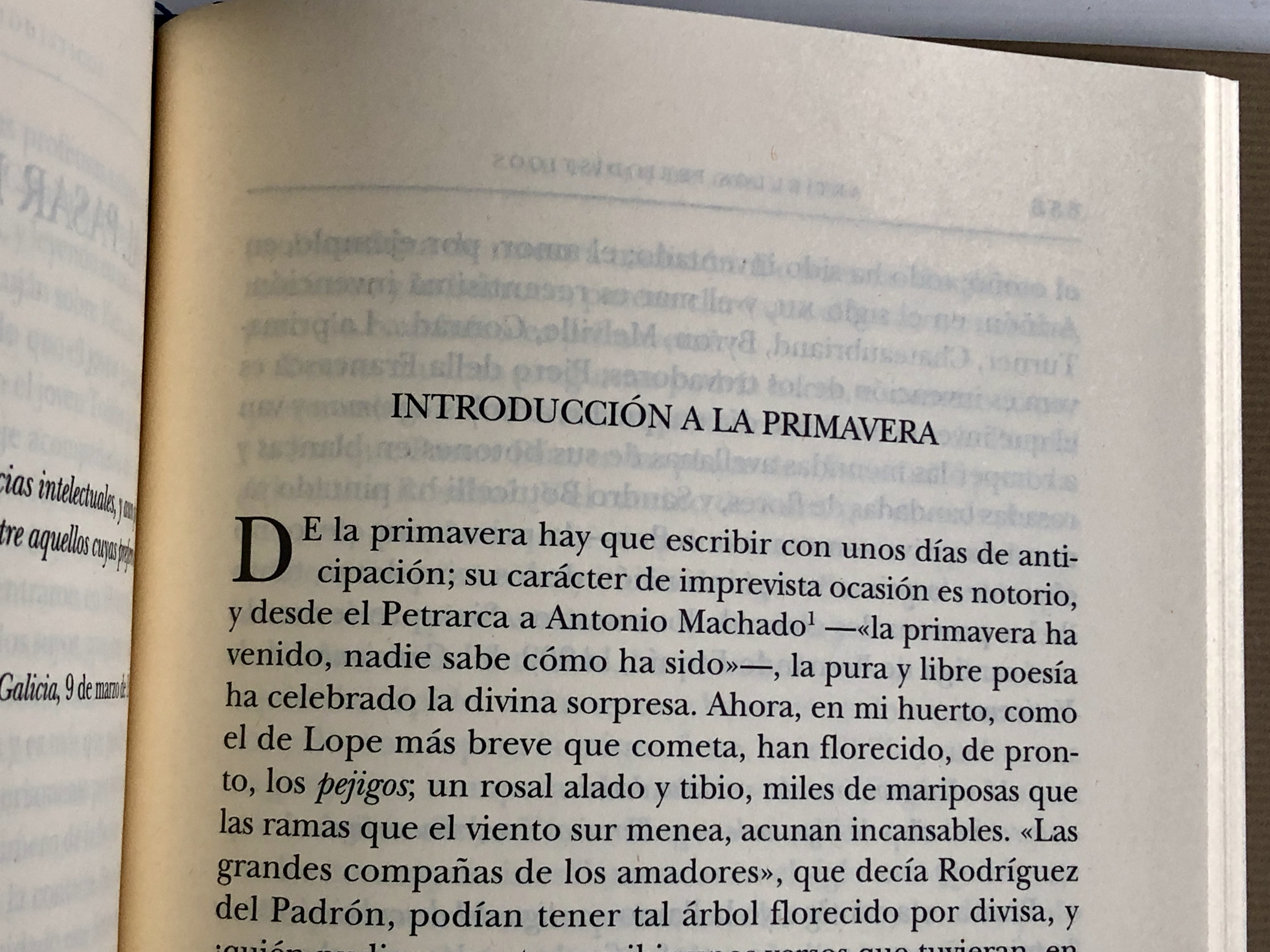 Introducción primavera